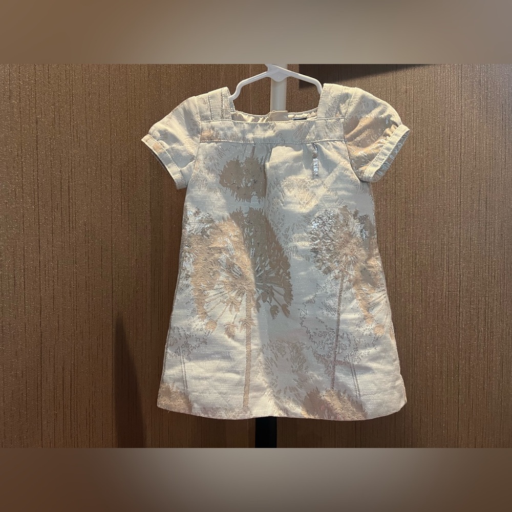 Baby GAP Charming Cream Floral Kids Dress